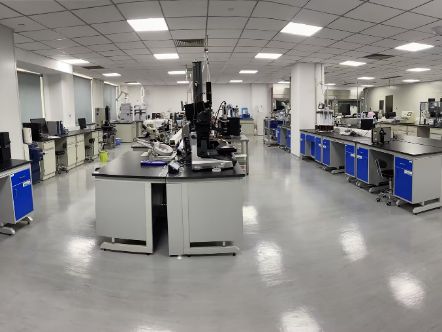 泰達龍頭企業產品順利通過FDA現場檢查，即將進軍美國市場